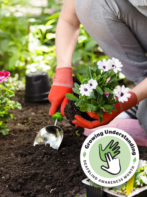 A Gardener planting flowers in the garden. On the left, there is a circular icon with the text, Growing Understanding. Deafblind Awareness Month. In the centre is the icon for two hand manual. 