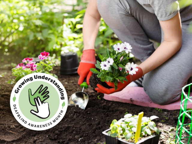 a Gardener planting flowers in the garden. The icon for Growing Understanding for Deafblind Awareness Month.